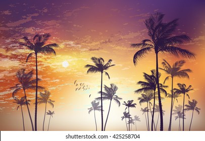 Panorama of  tropical palm tree landscape  at sunset. Highly detailed  and editable
