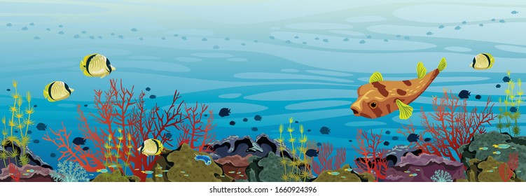 Panorama of underwater nature and marine wildlife. Tropical fishes and coral reef on a blue sea background. Vector ocean illustration.