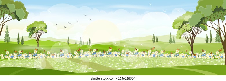 Panorama view of a beautiful summer city park,Vector cartoon Summer landscape with butterfly flying over daisy field, Nature scene with town and hill, fresh spring  scenery 