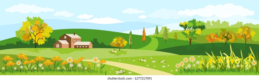 Panorama view of spring village with flowers and green meadow on hills with blue sky, Vector Summer or Spring landscape of countryside, Panoramic landscape summer field and farmhouse.