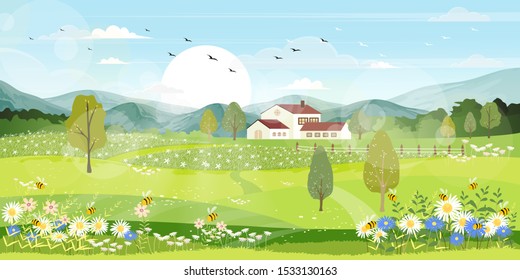 Panorama view of spring village with green meadow on hills with blue sky, Vector cartoon Spring or Summer landscape, Panoramic countryside landscape mountains with wild flowers fields