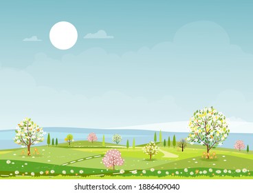 Panorama view of spring village,green meadow on hills,blue sky and sun, Vector cartoon Spring or Summer landscape, Panoramic countryside landscape mountains,cheery blossom and wild flowers field