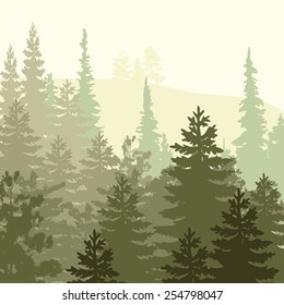 Panorama of wild coniferous forest