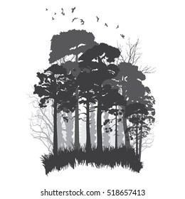 Panorama of wild coniferous forest. Vector illustration
