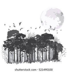 Panorama of wild coniferous forest. Vector illustration