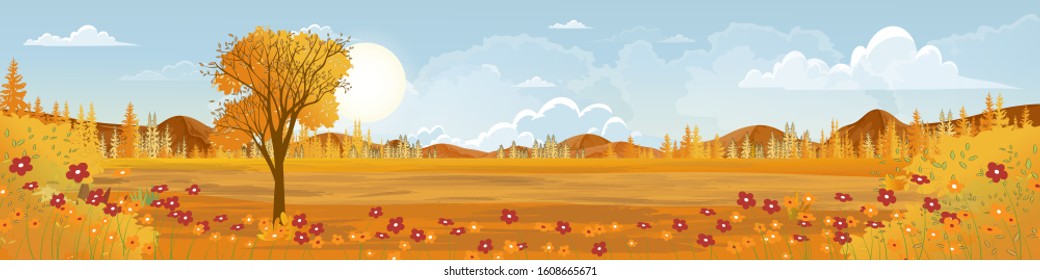 Panoramic of Autumn Countryside landscape in England, Vector illustration of horizontal banner of autumn landscape trees forest with flowers in red, orange and yellow foliage. Coulorfull Fall season