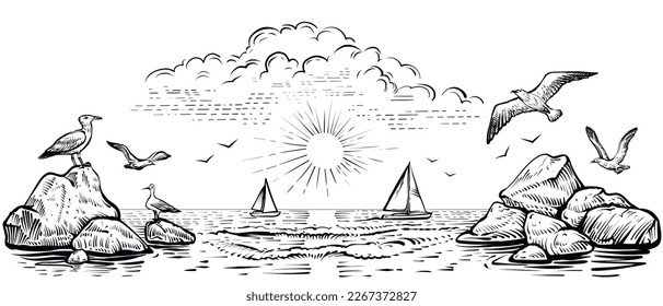 Panoramic beach view and seagulls   boats  Vector panoramic illustration the seaside and waves   rocks  Black   white sea sketch 