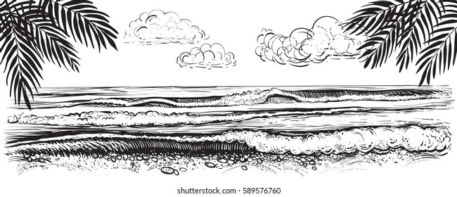 Panoramic beach view. Vector illustration of ocean or sea waves with big crests and foam. Black and white drawing of seaside with palm leaves.