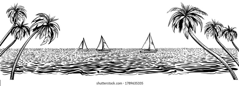 Panoramic Beach With Yachts Regatta. Vector Tropical Resort Illustration With Palms, Ocean Or Sea Water. Black Line Sketch Isolated On White Background.