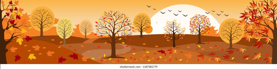 Panoramic of Countryside landscape in autumn, Vector illustration of horizontal banner of autumn landscape mountains and maple trees fallen with yellow foliage.