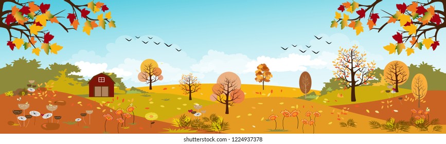Panoramic of Countryside landscape in autumn, Vector illustration of horizontal banner of autumn landscape mountains and farm with leaves falling from trees in yellow foliage.