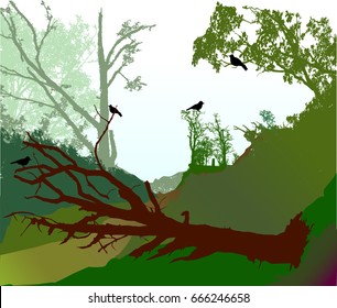Panoramic forest landscape with fallen tree, road and silhouettes of birds. Forest path blocked by a bare tree