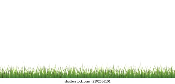 Panoramic green grass border flat style, vector illustration on white background. Decorative design element for landscape, field or lawn, natural fresh organic plant