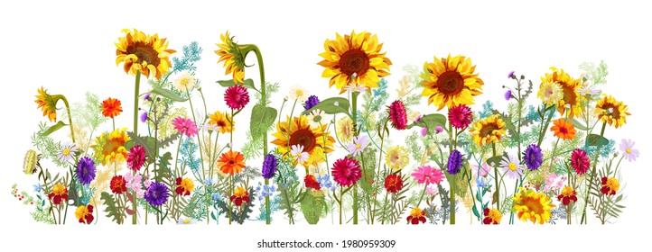 Panoramic horizontal floral autumn's border with sunflowers, aster, thistles, gerbera, marigold, daisy, small green twigs on white background. Illustration in watercolor style in vector