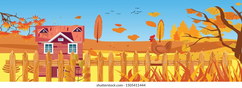  Panoramic landscapes of Countryside in autumn. mid autumn with field, blue sky, farm houses, grass and leaves falling from trees in yellow foliage. Pretty landscape in fall season.