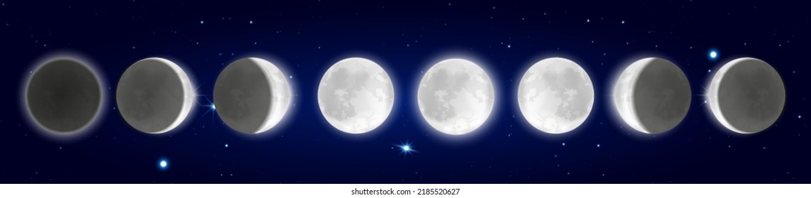 Panoramic night scenery, forest on hotizon, starry sky, cycle from new moon to full infographic science background. Lunar eclipse, total partial eclipse, moon phases and stages vector illustration