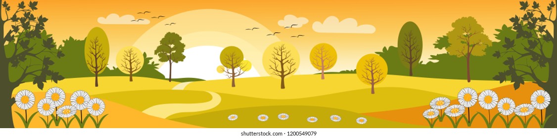 Panoramic of Spring field in sunny day,Vector landscape of spring or summer with orange sky hot sunny day,Beautiful natural landscape of green field with summer flowers, vector illustration