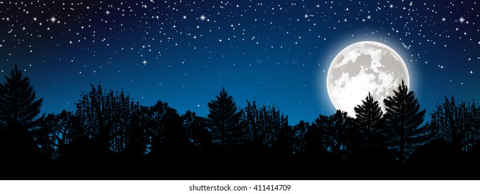 Panoramic starry night landscape full vector color banner