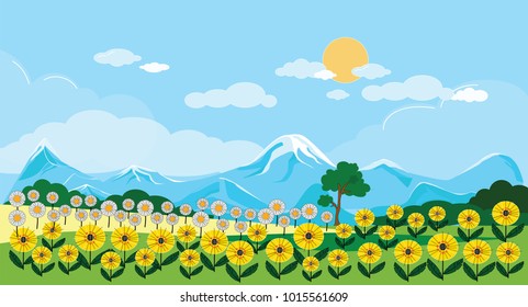 Panoramic of Sunflower field with blue sky in the spring or summer, Vector of Beautiful natural landscape of green field with summer flowers, vector illustration