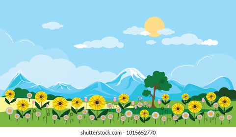 Panoramic of Sunflower field with blue sky in the spring or summer, Vector of Beautiful natural landscape of green field with summer flowers, vector illustration