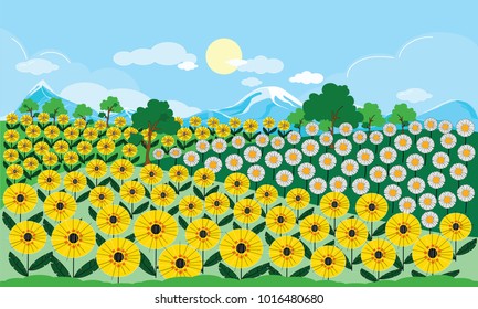 Panoramic of Sunflower field with blue sky for spring or summer background, Vector of Beautiful natural landscape of green field with summer flowers, vector illustration