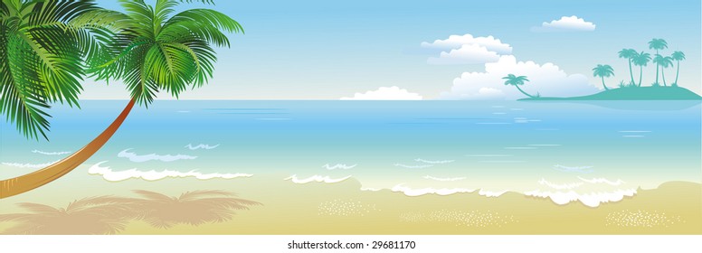 Panoramic Tropical Beach With Palm