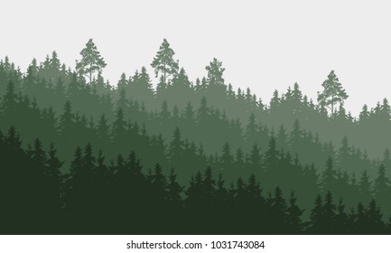 panoramic vector illustration of a forest under a overcast gray sky, layered