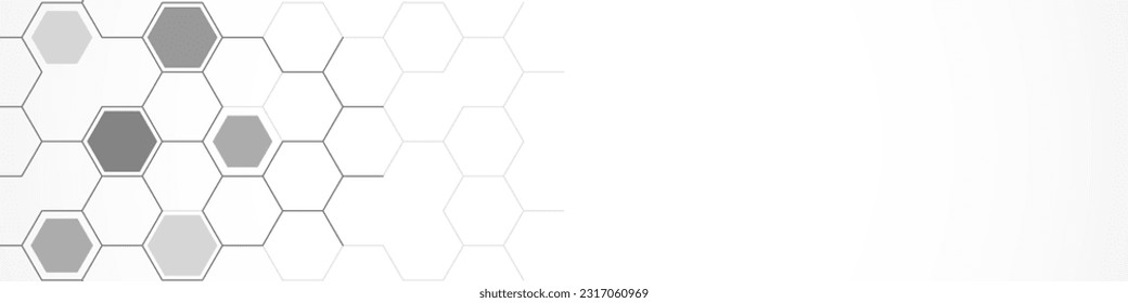 Panoramic view of abstract geometric background with hexagons shape pattern for banner or website header template