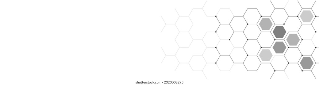 Panoramic view of abstract geometric background with hexagons shape pattern for banner or website header template