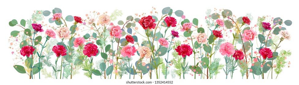 Panoramic view of carnation, pink, white, red flowers, leaves eucalyptus, twigs gypsophile, asparagus, white background, illustration in watercolor style for Mother's Day, horizontal pattern, vector