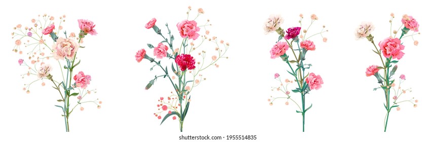 Panoramic view with carnation. Set red, pink, white flowers, gypsophile twigs, white background, collection for Mother's Day, Victory Day, digital draw, vintage illustration, vector, watercolor style