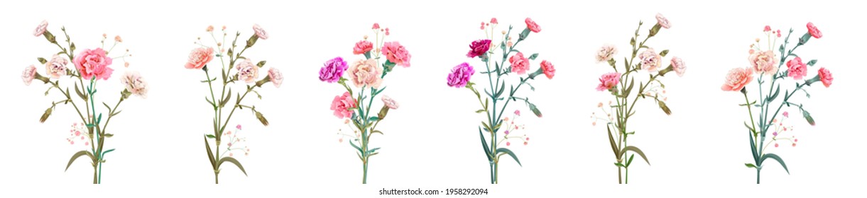 Panoramic view with carnation. Set red, pink, white flowers, green leaves on white background, collection for Mother's Day, Victory Day, digital draw, vintage illustration, vector, watercolor style