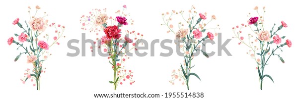 Panoramic view with carnation. Set red, pink, white flowers, twigs, white background, digital wallpaper mural, watercolor style