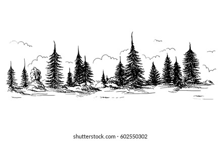 panoramic view of the forest from coniferous trees hand drawn vector illustration Sketch design.