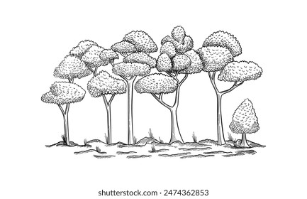 panoramic view of the forest from deciduous trees hand drawn vector illustration Sketch design.