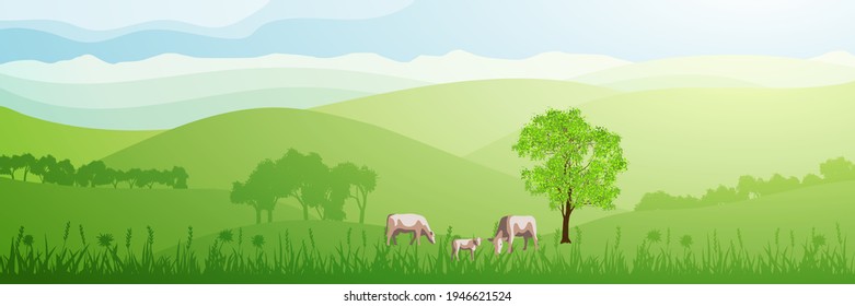 Panoramic view of green hills on sunny morning. Cows graze in the meadow. Vector illustration.