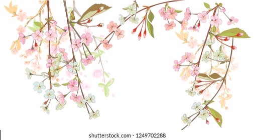 Panoramic view, horizontal border with spring blossom. Pink, bluish flowers: cherry, (sakura, almond, plum). Branches hang down from above, white background. Digital drawing, watercolor style, vector