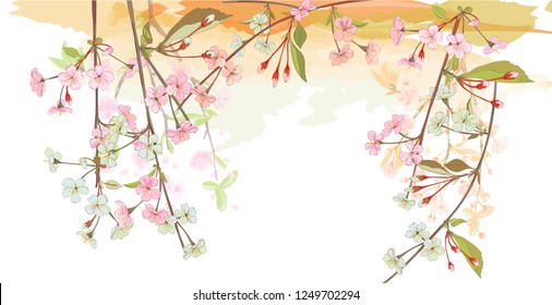 Panoramic view, horizontal border with spring blossom. Pink, bluish flowers: cherry, (sakura, almond, plum). Branches hang down from above, white background. Digital drawing, watercolor style, vector
