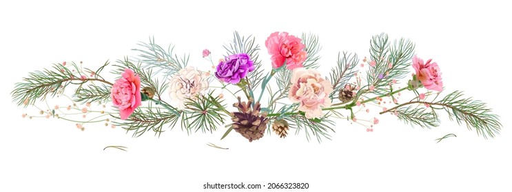 Panoramic view with pine branches, cones, carnations. Horizontal border with Christmas tree on white background. Realistic decorative botanical illustration for design in watercolor style, vector