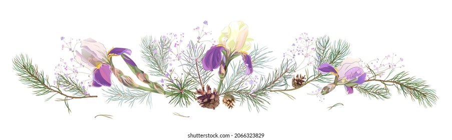 Panoramic view with pine branches, cones, blue iris, gypsophila. Needles on white background. Digital realistic decorative botanical illustration for design in watercolor style. Christmas tree. Vector