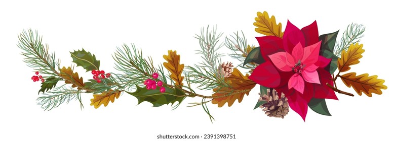 Panoramic view with poinsettia flower (New Year Star), pine branches, cones, holly berry, oak. Horizontal border for Christmas on white background. Realistic illustration in watercolor style. Vector