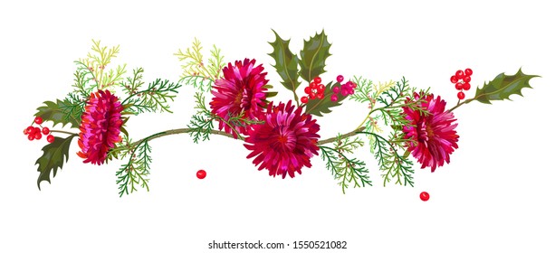 Panoramic view: red chrysanthemum (aster, daisy), holly berry, thuja (arborvitae). Horizontal border for Christmas: flowers, leaves, green twigs, cones on white background, watercolor style, vector