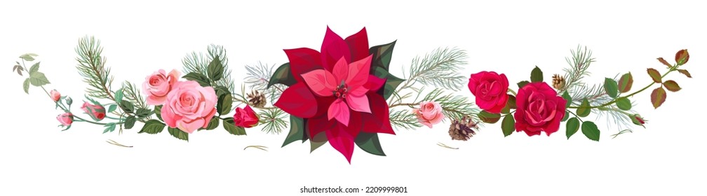 Panoramic view with red, pink roses, red poinsettia flower (New Year Star), pine branches, cones. Horizontal border for Christmas on white background, realistic digital draw, watercolor style, vector