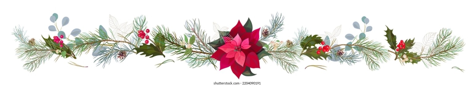 Panoramic view with red poinsettia flower (New Year Star), pine branches, cones, holly berry. Horizontal border for Christmas on white background. Realistic illustration in watercolor style. Vector