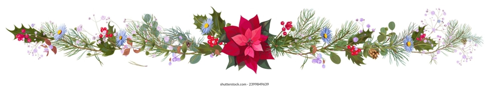 Panoramic view with red poinsettia flower (New Year Star), blue daisy, pine branches, cones, holly berry. Horizontal border for Christmas, white background. Realistic illustration in watercolor style