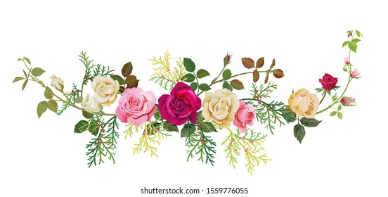 Panoramic view: red, white, pink roses, thuja (arborvitae). Horizontal border for Christmas: flowers, buds, leaves, green twigs, cones on white background, digital draw, watercolor style, vector