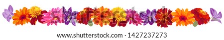 Panoramic view: roses, gerberas, daisies, marigold (tagetes), orchids. Horizontal border, garland flowers for Indian religion festive decoration. Botanical illustration, watercolor style, vector