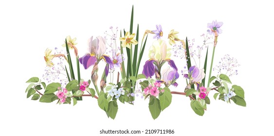 Panoramic view with spring blossom, blue iris, narcissus, gypsophila. Twigs with light florets on white background. Digital realistic botanical illustration for design in watercolor style. Vector