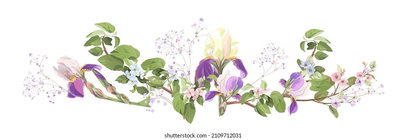 Vista panorámica con flor primaveral, iris azul, gypsophila. Twigs con flores de luz sobre fondo blanco. Ilustración botánica realista digital para diseño en acuarela. Vintage, vector