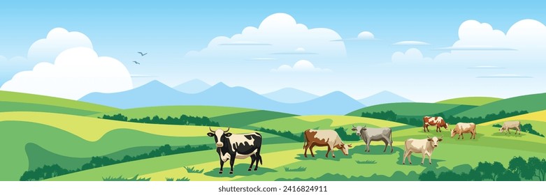 Panoramic view of spring landscape, countryside, cows grazing in a green meadow, vector illustration